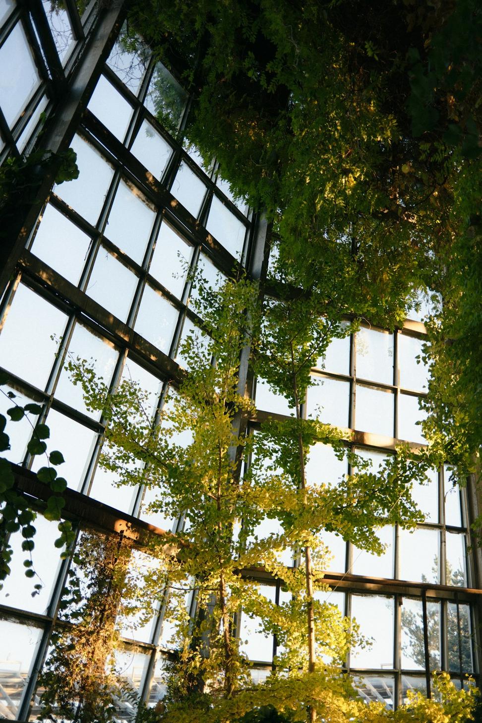 Sustainable Design